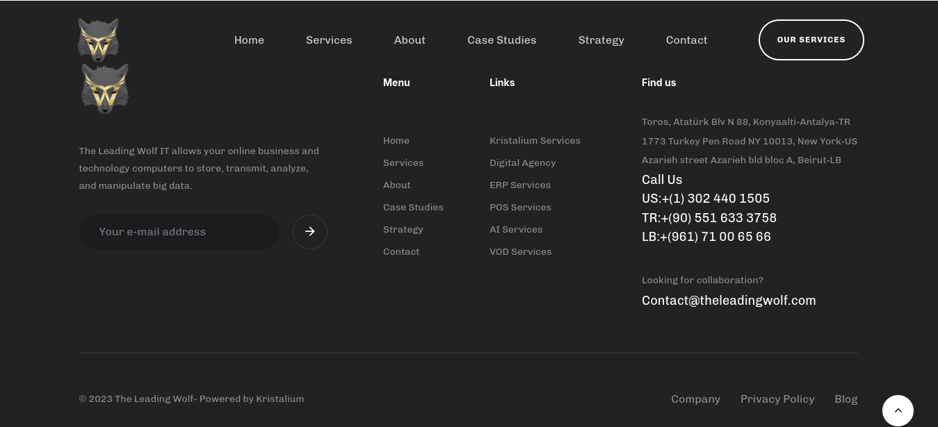 Screenshot from 20241130 024318 Anthony Wolf Anthony Wolf